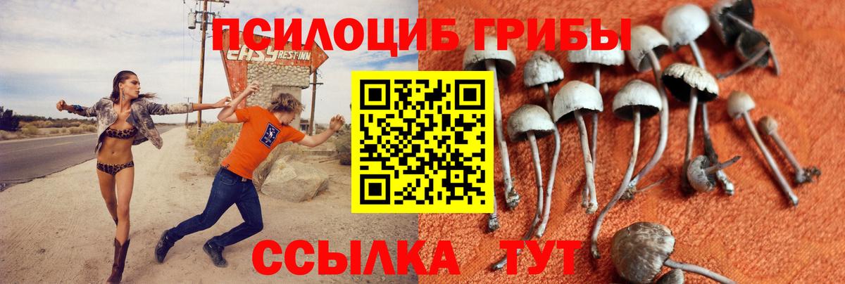 Галлюциногенные грибы MAGIC MUSHROOMS Димитровград